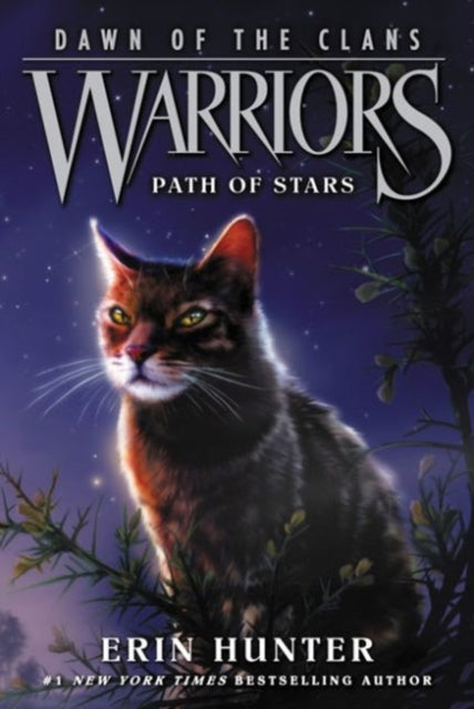 Book cover of: Warriors: Dawn of the Clans #6: Path of Stars. By: Erin Hunter