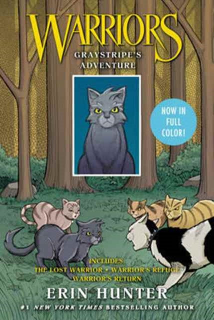 Warriors: Graystripe's Adventure: 3 Full-Color Warriors Books in 1, The Lost Warrior, Warrior's Refuge, Warrior's Return 9780062573001 Erin Hunter