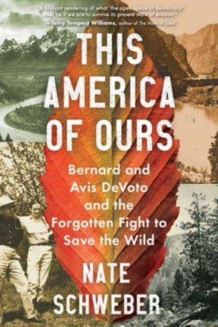 Book cover of: This America of Ours. By: Nate Schweber
