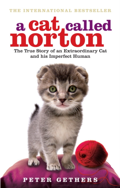 Book cover of: Cat Called Norton