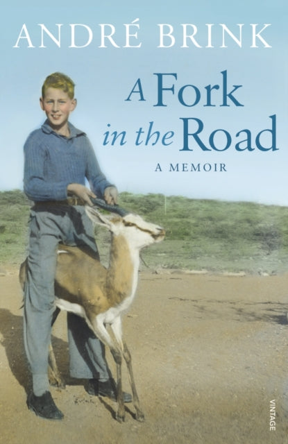 Book cover of: Fork in the Road. By: Andre Brink