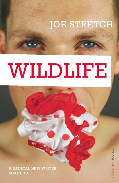 Book cover of: Wildlife. By: Joe Stretch