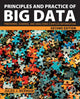 Book cover of: Principles and Practice of Big Data. By: Jules J. Berman