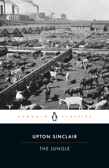 Book cover of: Jungle