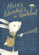 Alice's Adventures in Wonderland, V&A Collector's Edition 9780141385655 Lewis Carroll