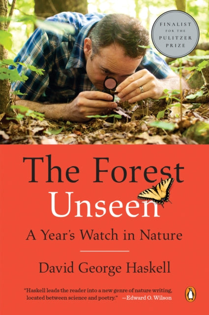 The Forest Unseen