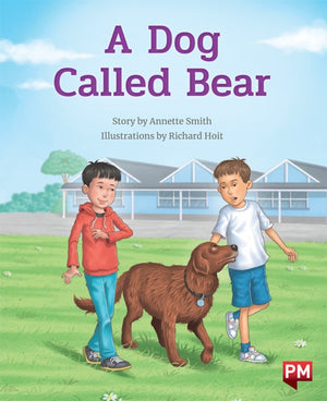 Dog Called Bear
