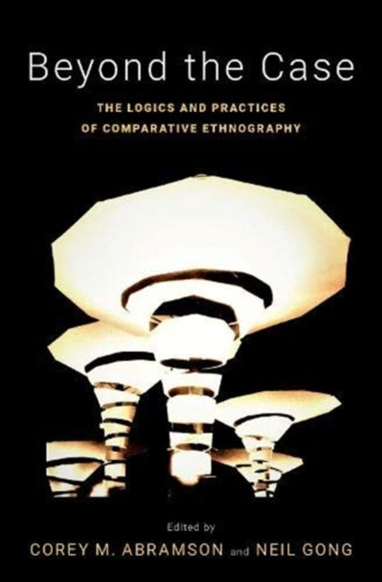Book cover of: Beyond the Case. By: Corey M. Abramson
