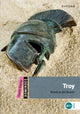 Book cover of: Dominoes: Quick Starter: Troy. By: Bill Bowler