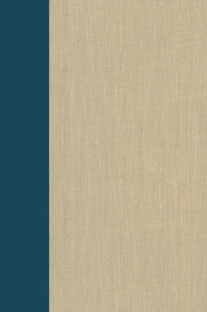 Book cover of: Terrorism Documents of International and Local Control: Volume 89. By: Douglas C. Lovelace Jr