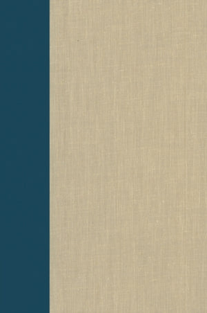 Terrorism Documents of International and Local Control: Volume 88