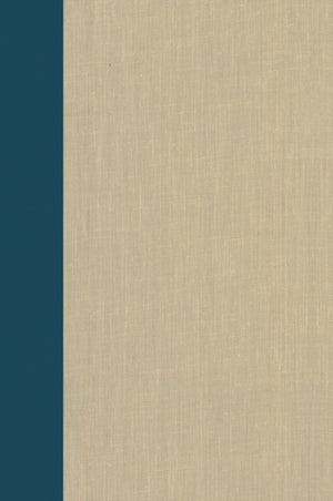 Terrorism Documents of International and Local Control Volume 99