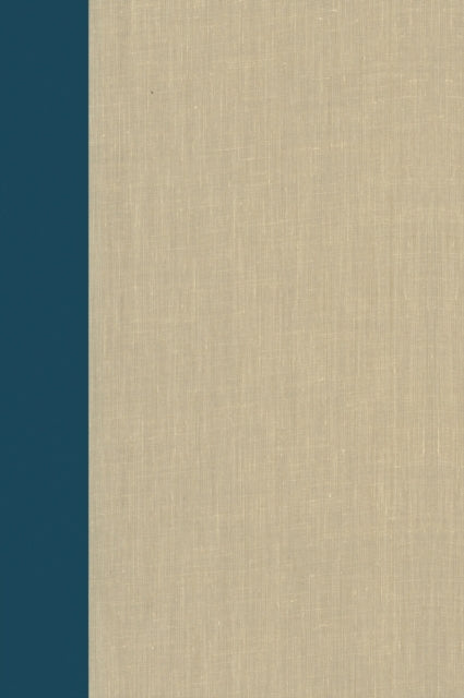 Book cover of: Terrorism Documents of International and Local Control Volumes 97. By: Douglas C. Lovelace Jr.