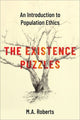 Book cover of: Existence Puzzles. By: M. A. Roberts