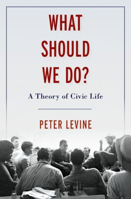 Book cover of: What Should We Do?. By: Peter Levine