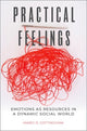 Book cover of: Practical Feelings. By: Marci D. Cottingham