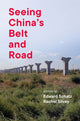 Book cover of: Seeing China's Belt and Road. By: Edward Schatz