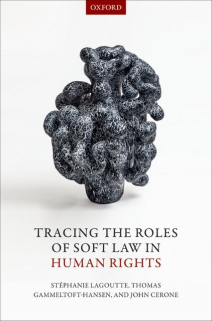 Book cover of: Tracing the Roles of Soft Law in Human Rights