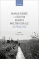 Book cover of: Human Rights Litigation against Multinationals in Practice. By: Richard Meeran