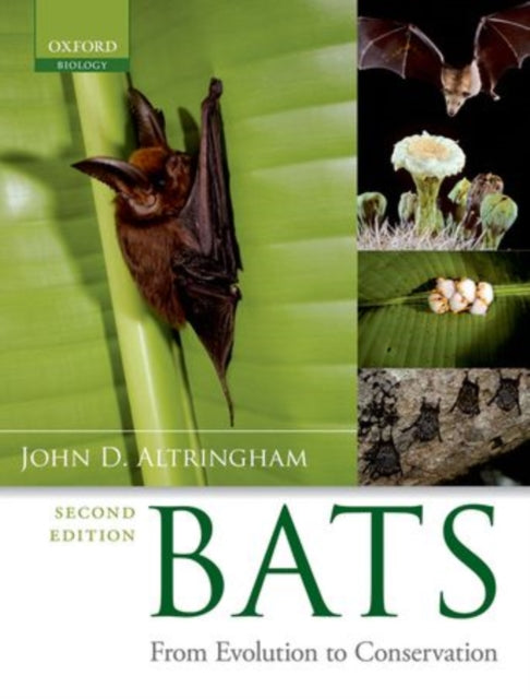 Book cover of: Bats. By: John D. Altringham