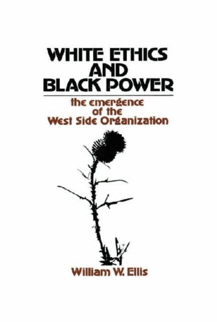 White Ethics and Black Power