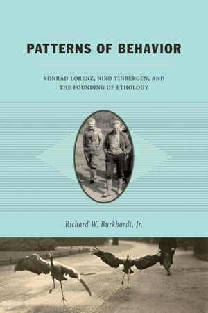 Patterns of Behavior