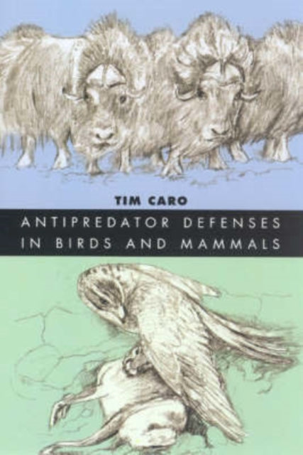 Book cover of: Antipredator Defenses in Birds and Mammals