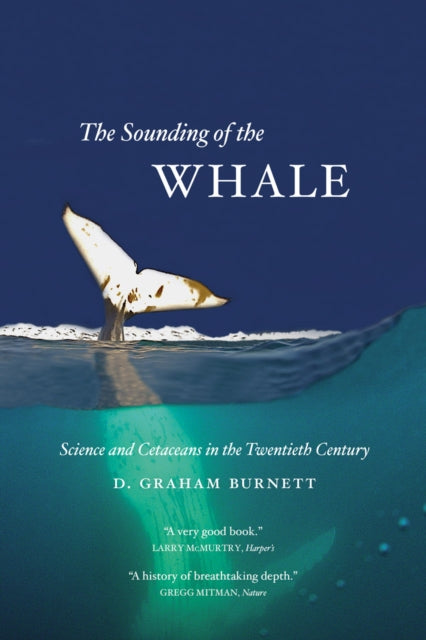 Book cover of: Sounding of the Whale. By: D. Graham Burnett