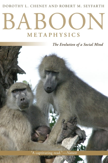 Book cover of: Baboon Metaphysics. By: Dorothy L. Cheney