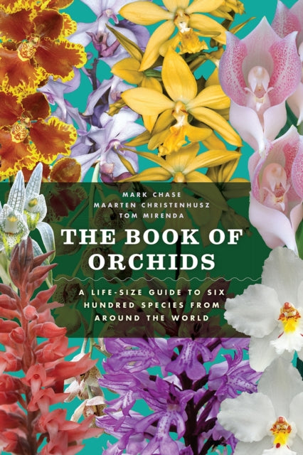 Book cover of: Book of Orchids. By: Cressida Bell