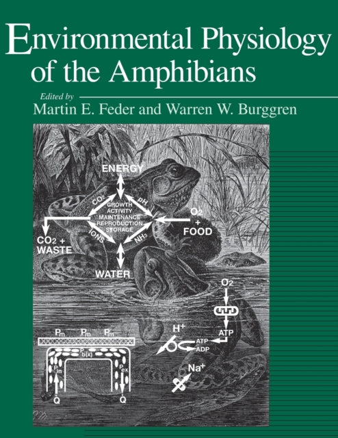 Book cover of: Environmental Physiology of the Amphibians