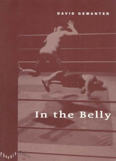 Book cover of: In the Belly