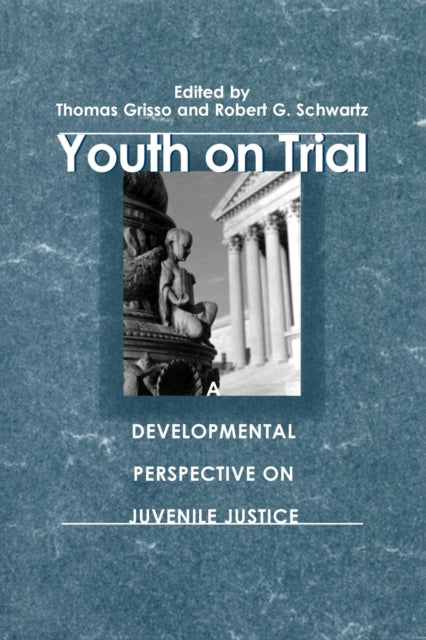 Book cover of: Youth on Trial