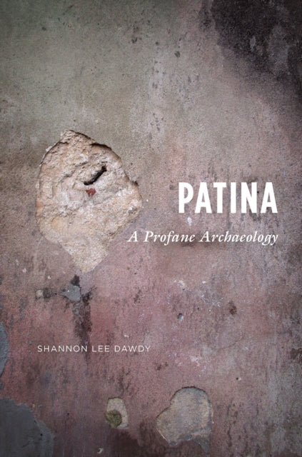 Book cover of: Patina. By: Shannon Lee Dawdy