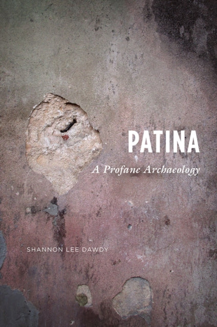 Book cover of: Patina. By: Shannon Lee Dawdy