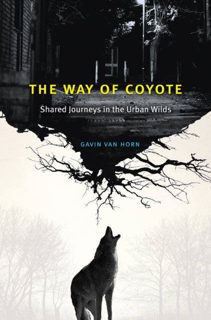 Book cover of: Way of Coyote. By: Gavin Van Horn