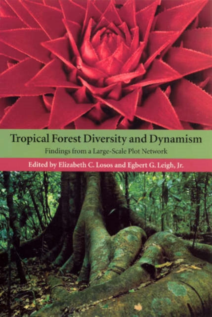 Book cover of: Tropical Forest Diversity and Dynamism