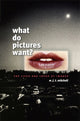 What Do Pictures Want?
