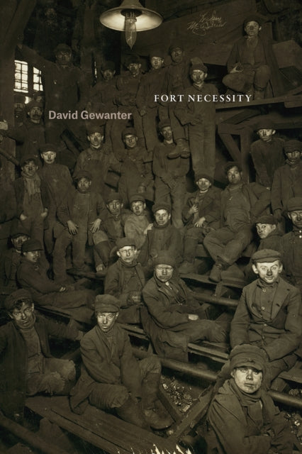 Book cover of: Fort Necessity. By: David Gewanter