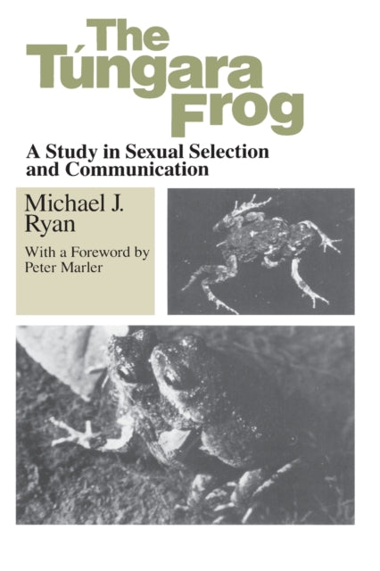 Book cover of: Tungara Frog. By: Michael J. Ryan
