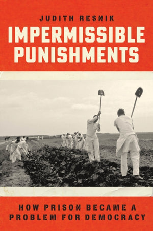 Impermissible Punishments