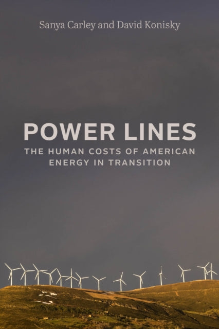 Book cover of: Power Lines