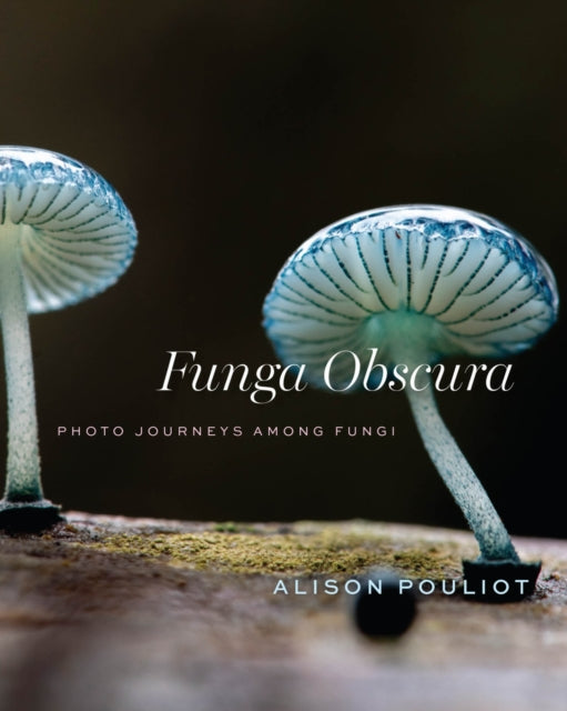 Book cover of: Funga Obscura