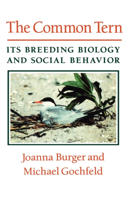 Book cover of: Common Tern
