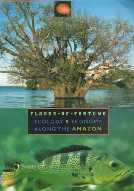 Book cover of: Floods of Fortune. By: Michael Goulding