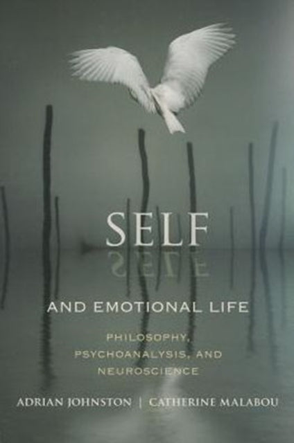 Book cover of: Self and Emotional Life