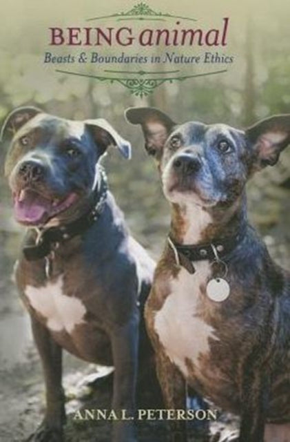 Book cover of: Being Animal. By: Anna Peterson