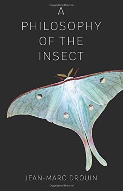 Book cover of: Philosophy of the Insect. By: Jean-marc Drouin