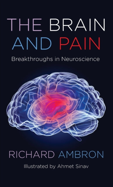 Book cover of: Brain and Pain. By: Richard Ambron