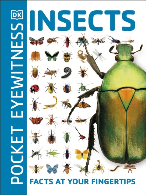 Pocket Eyewitness Insects, Facts at Your Fingertips 9780241343685 DK Publishing
